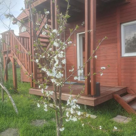 Joevo Het Pihenohaz Villa Poroszlo Ngoại thất bức ảnh